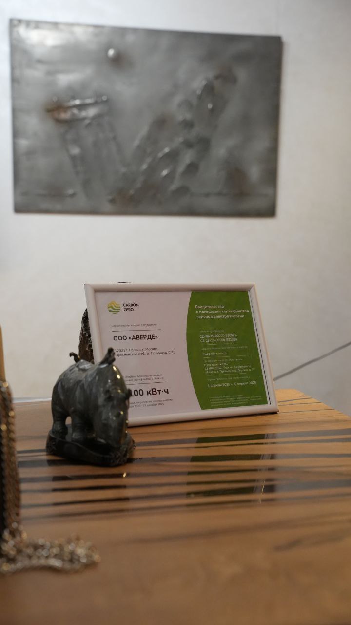 фото: Надежда Елкина представила работы Авердизма на Российской энергетической неделе