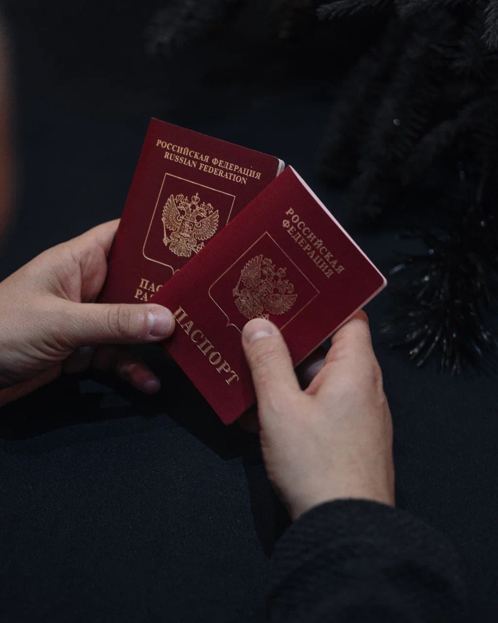 фото: Шенгенские визы в 2026 году: новые условия и изменение спроса