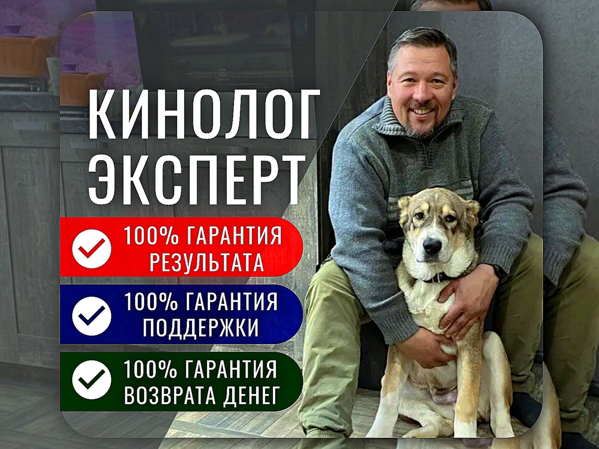 фото: Кинолог Игорь Алтайский