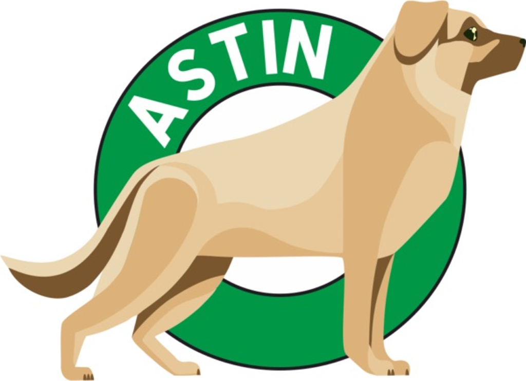 фото: Астин Зоотакси запускает новую услугу зоотакси для комфортной и безопасной перевозки домашних животных