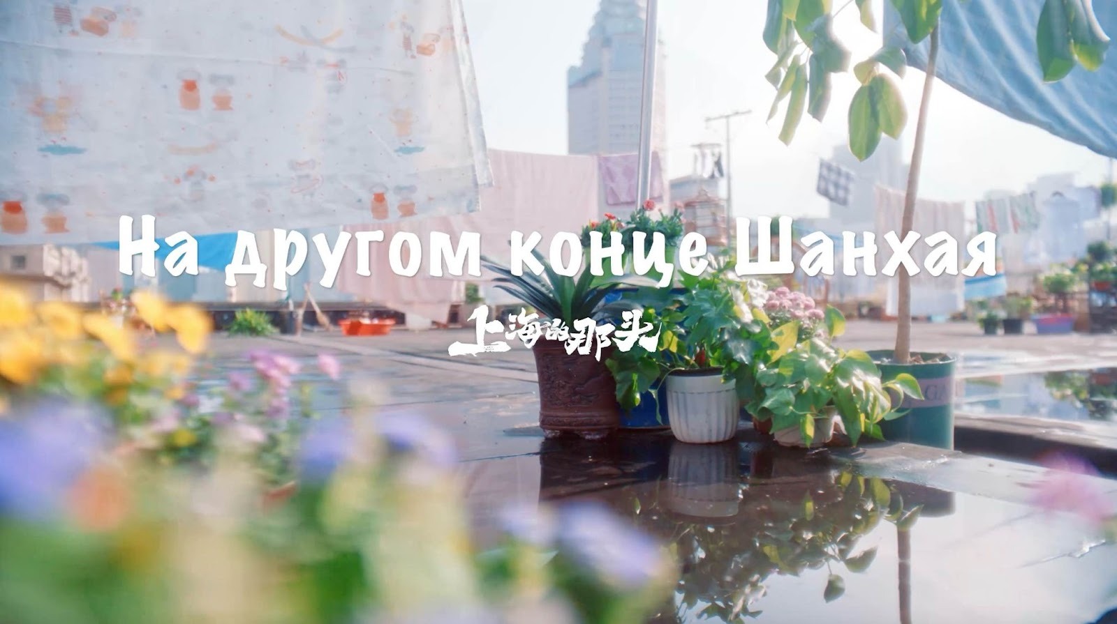 фото: Гоняясь за мечтой в Шанхае, согревая мир через «китайские повествования»: молодежный фильм «Другая сторона Шанхая» (специальное российское издание) официально вышел