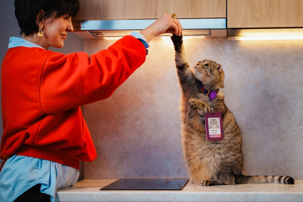 фото: В Тюмени стартует «Усатая приёмка»: коты будут помогать принимать квартиры в новостойках