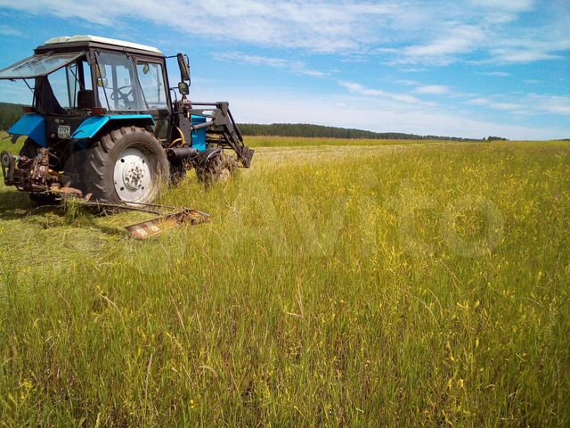 фото: Уполномоченный по защите прав предпринимателей в Челябинской области помог фермерам оптимизировать  регистрацию в ГИИС «Электронный бюджет»