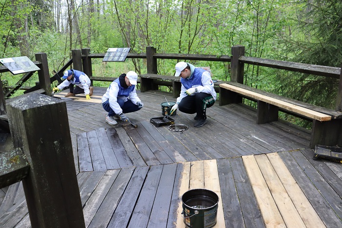 фото: Компания «Транснефть – Дружба» провела в регионах экологические акции