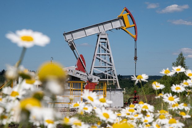 фото: В Госдуме оценили последствия отказа Индии от закупок российской нефти