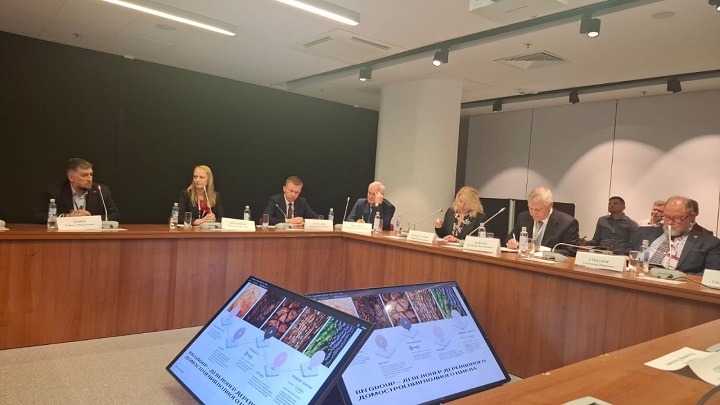 фото: Индустриальное строительство из CLT способно стать драйвером развития Арктики