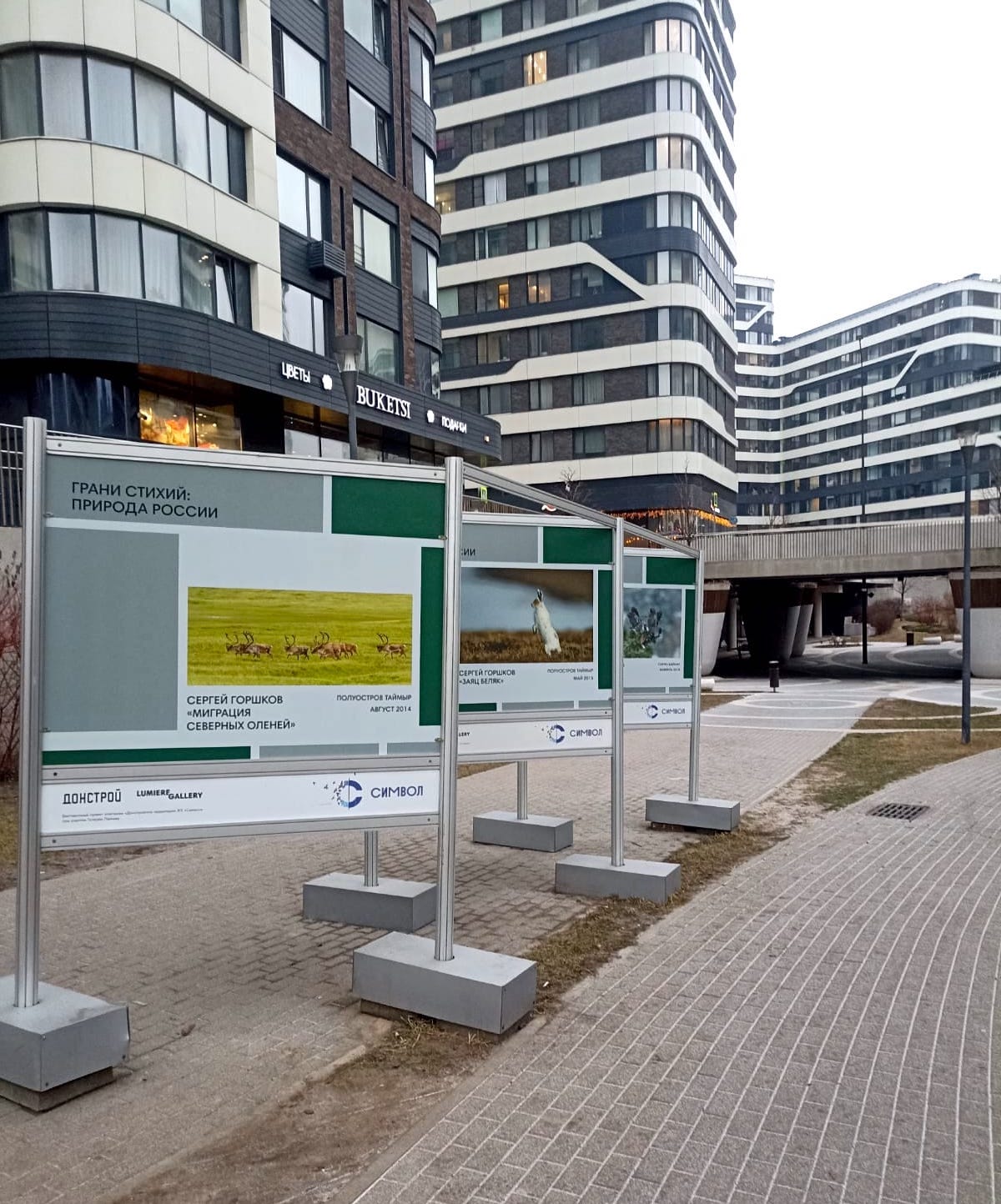 фото: В «Символе» открылась фотовыставка о дикой природе
