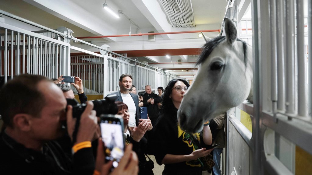 фото: Большой Московский цирк представил масштабные планы на будущее