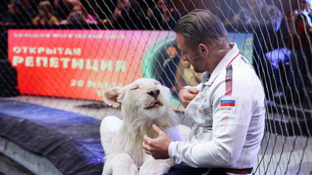 фото: Большой Московский цирк представил масштабные планы на будущее