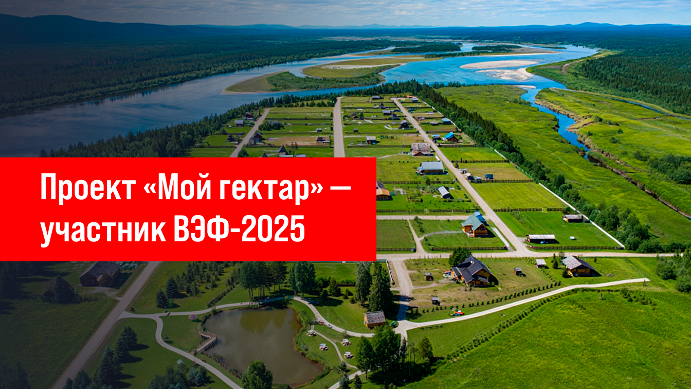 фото: Проект «Мой гектар» представил инновации в развитии сельских территорий на ВЭФ-2025