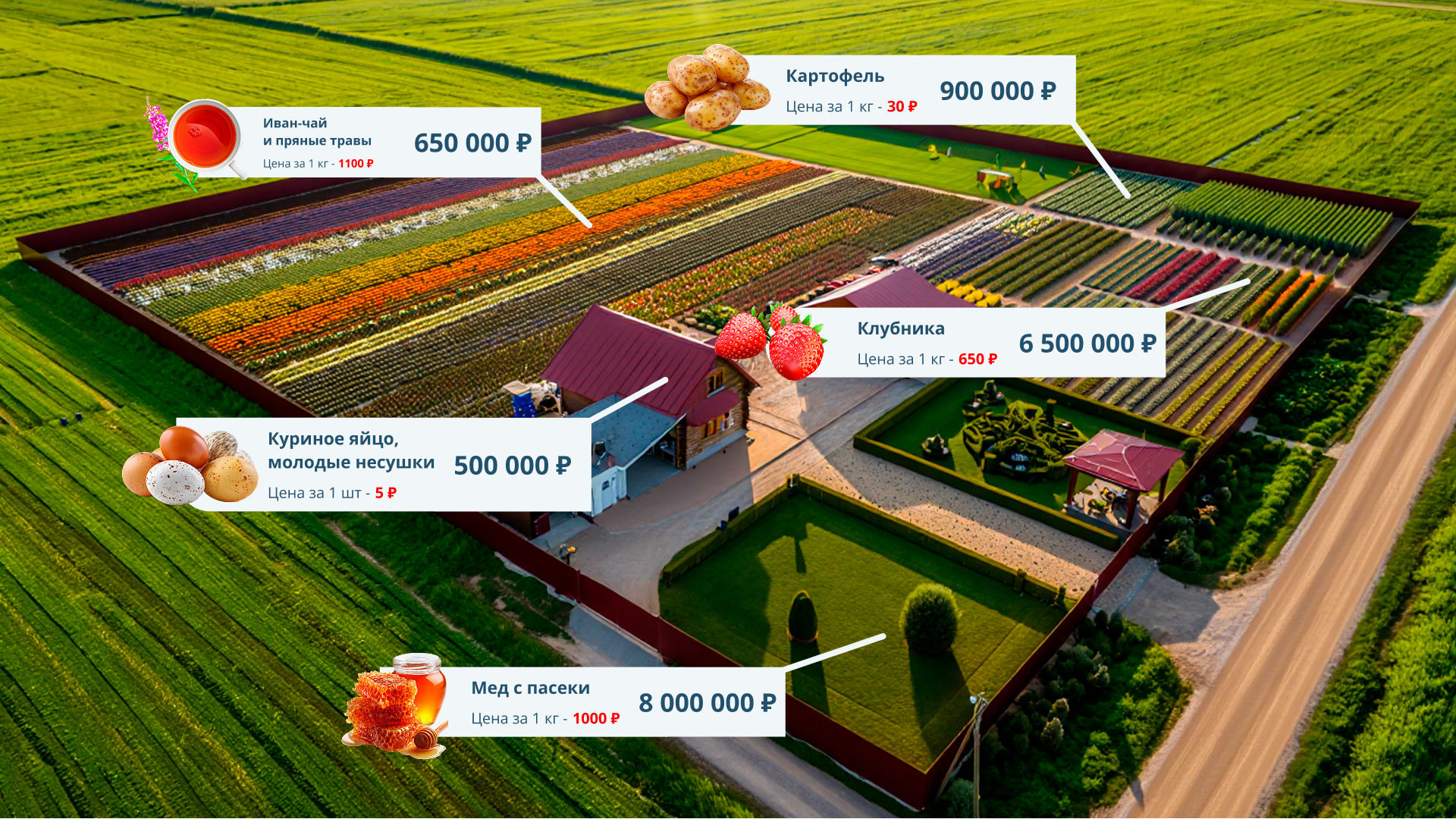 фото: Итоги 2025 года в проекте «Мой гектар»: время жить на своей земле!