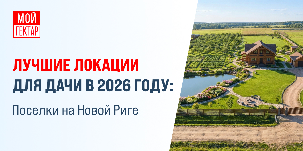 фото: Лучшие локации для дачи в 2026 году: поселки на Новой Риге