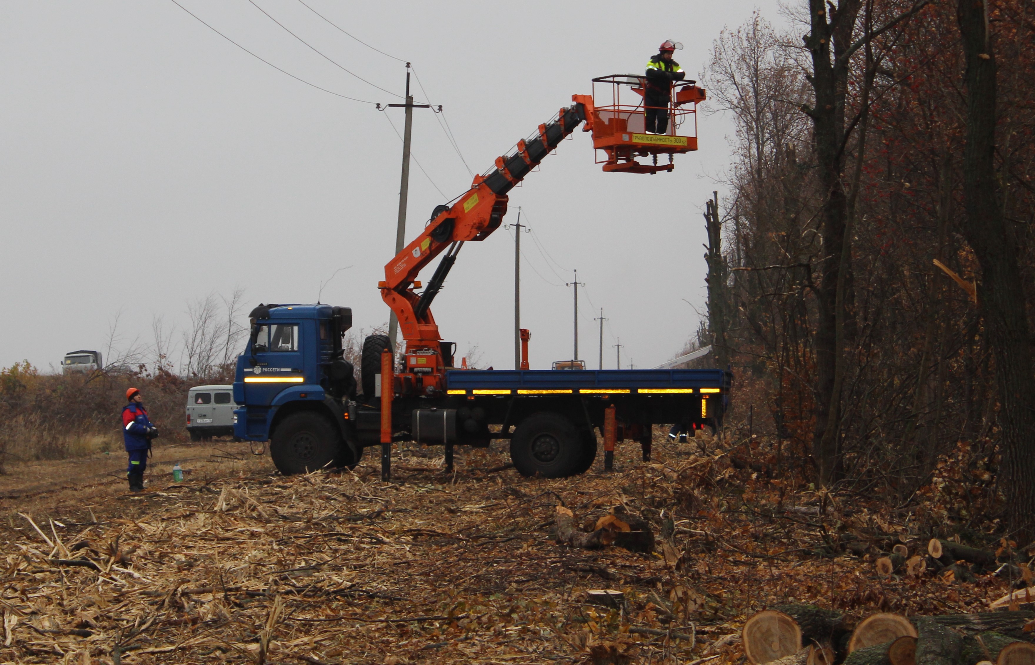 фото: Филиал «Мордовэнерго» перевыполнил годовой объем по расчистке трасс линий электропередачи