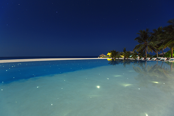 фото: Звезды под ногами в Velassaru Maldives