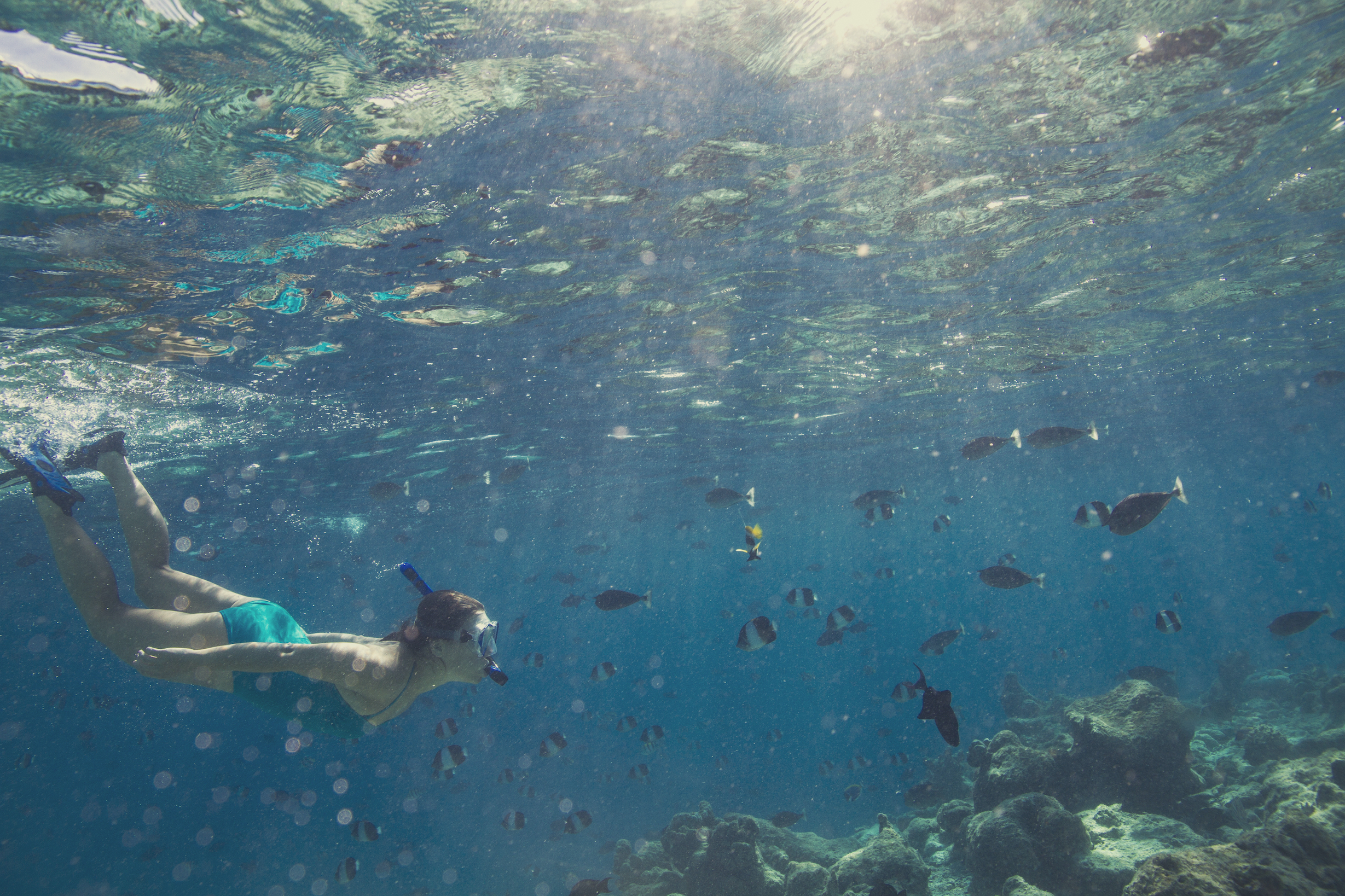 фото: Новые маршруты океана от отеля Kurumba Maldives