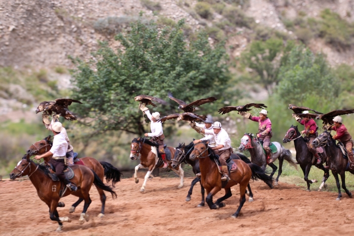 фото: Работа над документальным фильмом «Удивительный мир хищных птиц» подходит к завершению