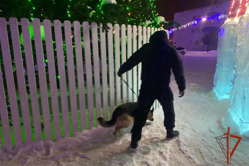 фото: Безопасность в новогоднюю ночь обеспечила Росгвардия в Томской области