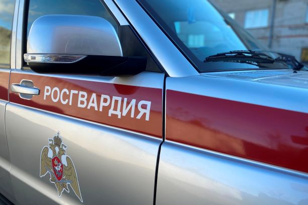 фото: Сотрудники Росгвардии в Томске задержали мужчину, который в охраняемом гипермаркете угрожал предметом, схожим с гранатой