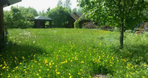 фото: Рояльные колеса на газонокосилке: что это и как выбрать идеальную модель для вашего сада?