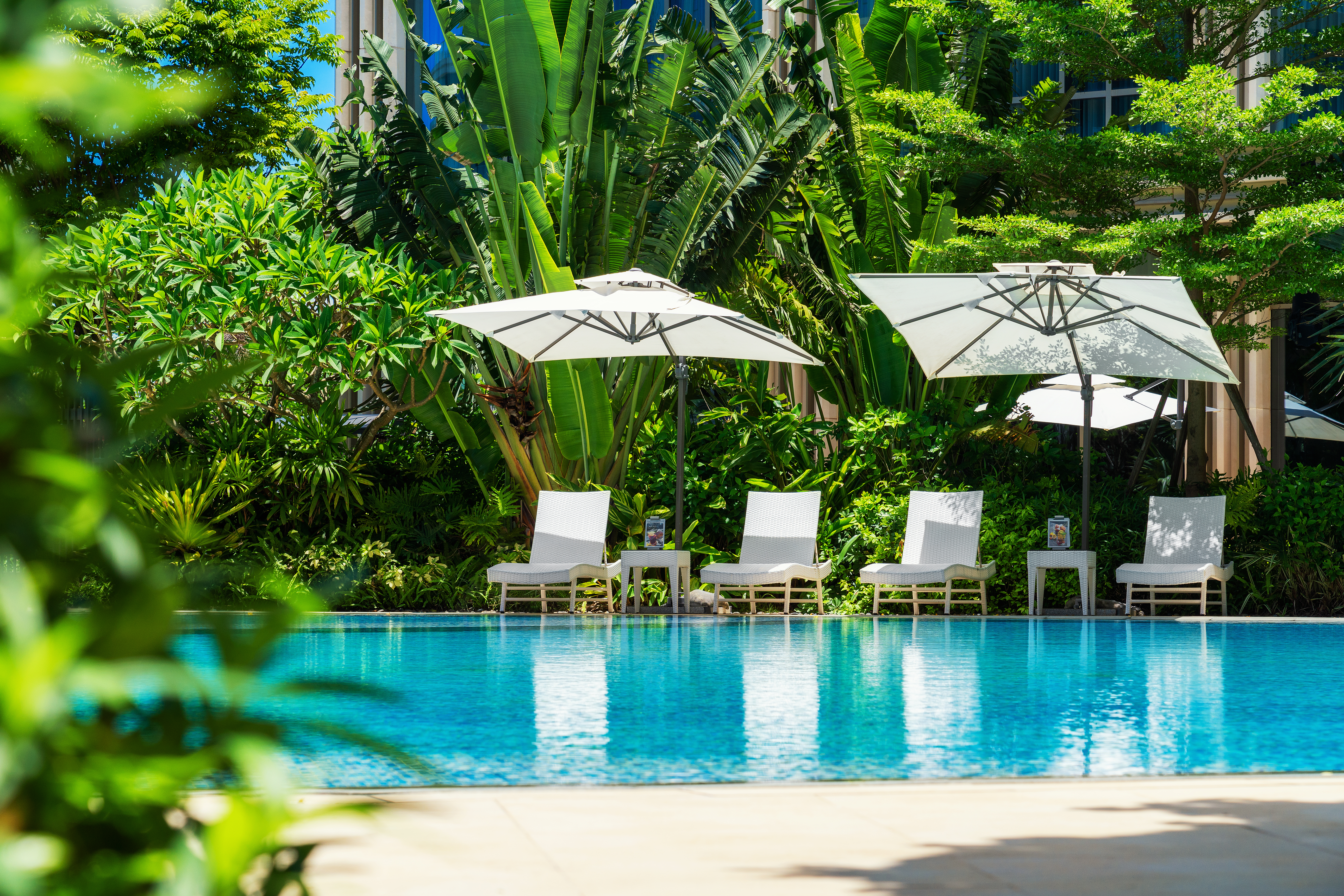 фото: Serensia Woods — новый стандарт в сфере медицины и отдыха