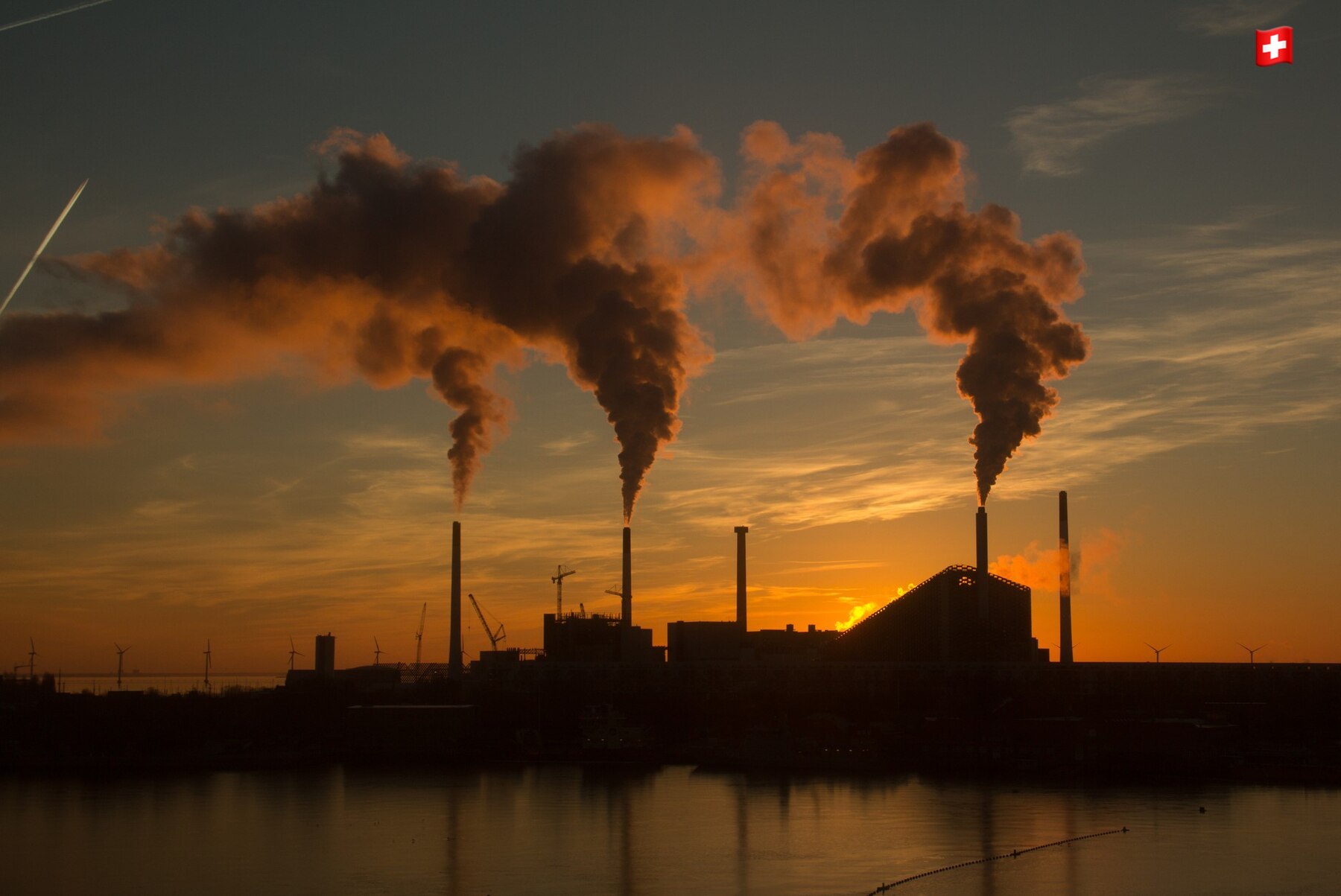 фото: Станислав Кондрашов Telf AG: нидерландский промышленный гигант на грани экологической катастрофы