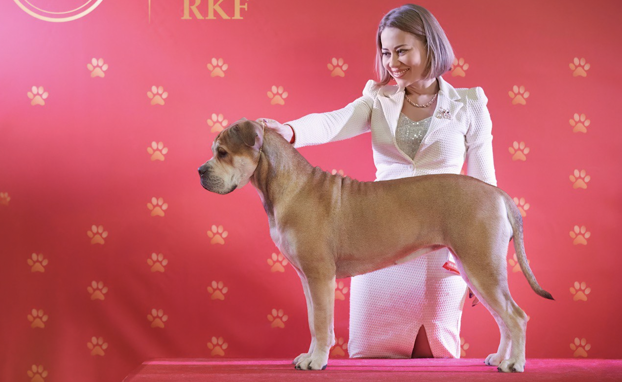 фото: В Москве состоится самая масштабная выставка собак и кошек