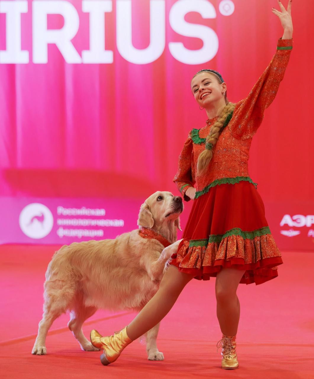 фото: В Москве состоится самая масштабная выставка собак и кошек