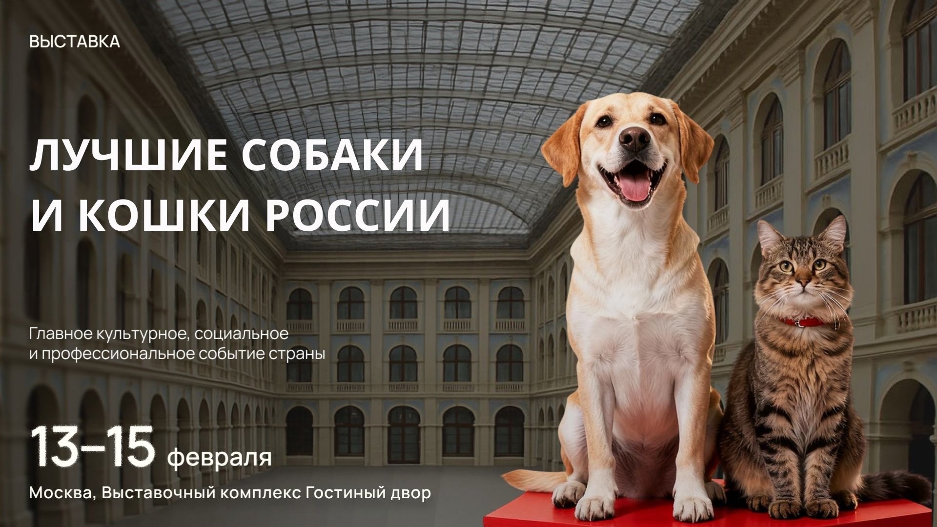 фото: В Москве наградят лучших собак и кошек страны: главная выставка сезона пройдет в Гостином дворе