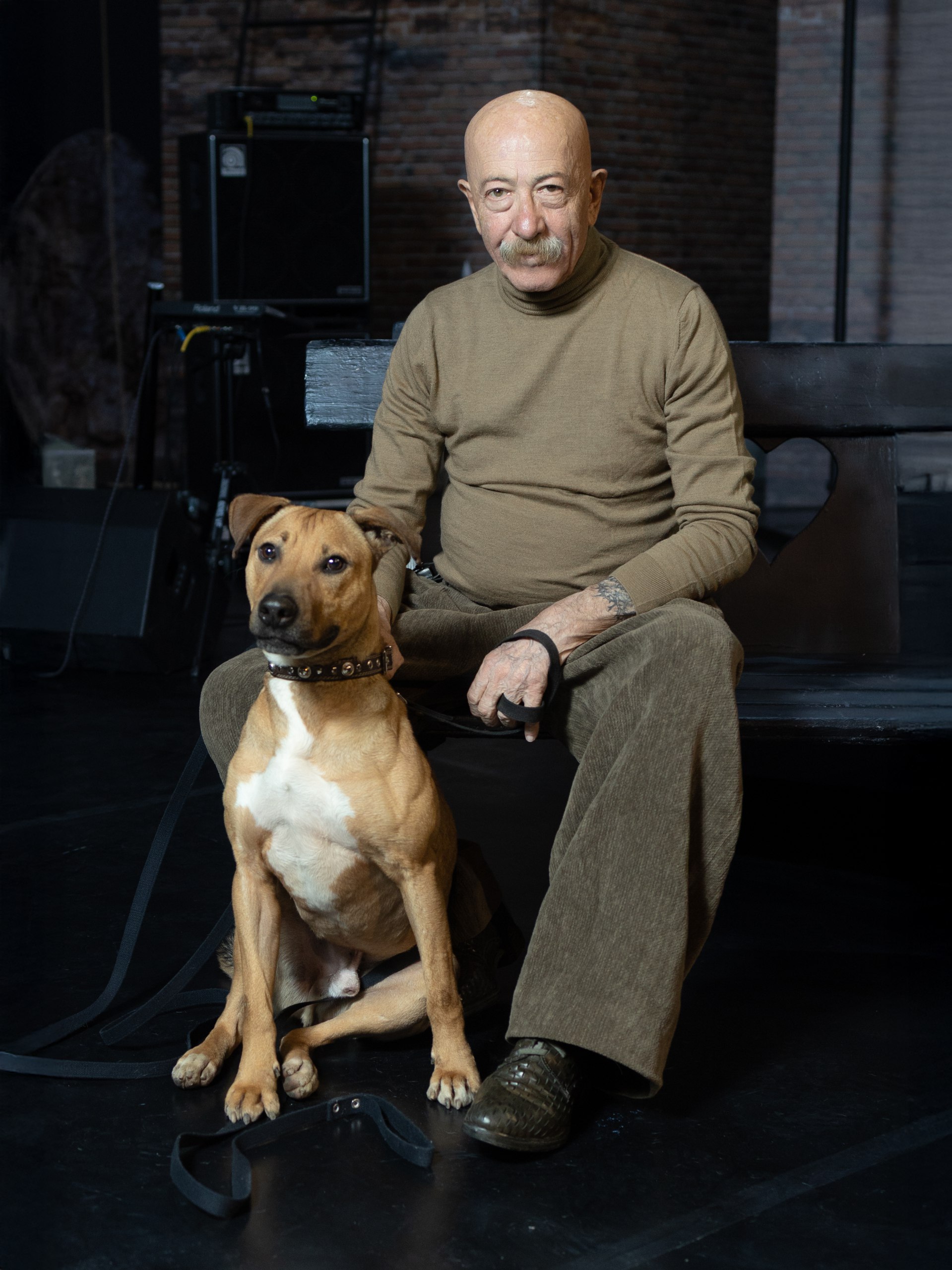 фото: В Москве наградят лучших собак и кошек страны: главная выставка сезона пройдет в Гостином дворе