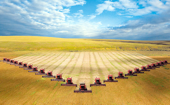 фото: 
