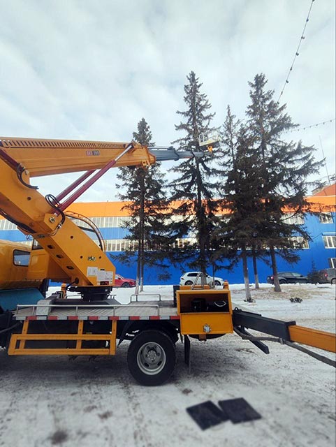 фото: Челябинские предприятия украшают ёлки на своих участках