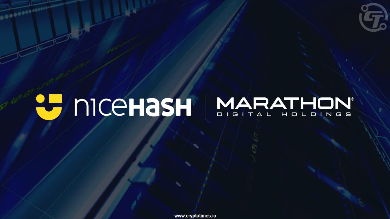 фото: SCAM in NiceHash Mining!