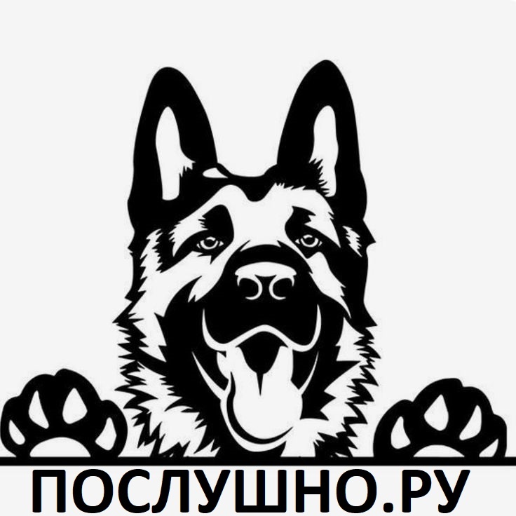 фото: Школа дрессировки Послушно.Ру