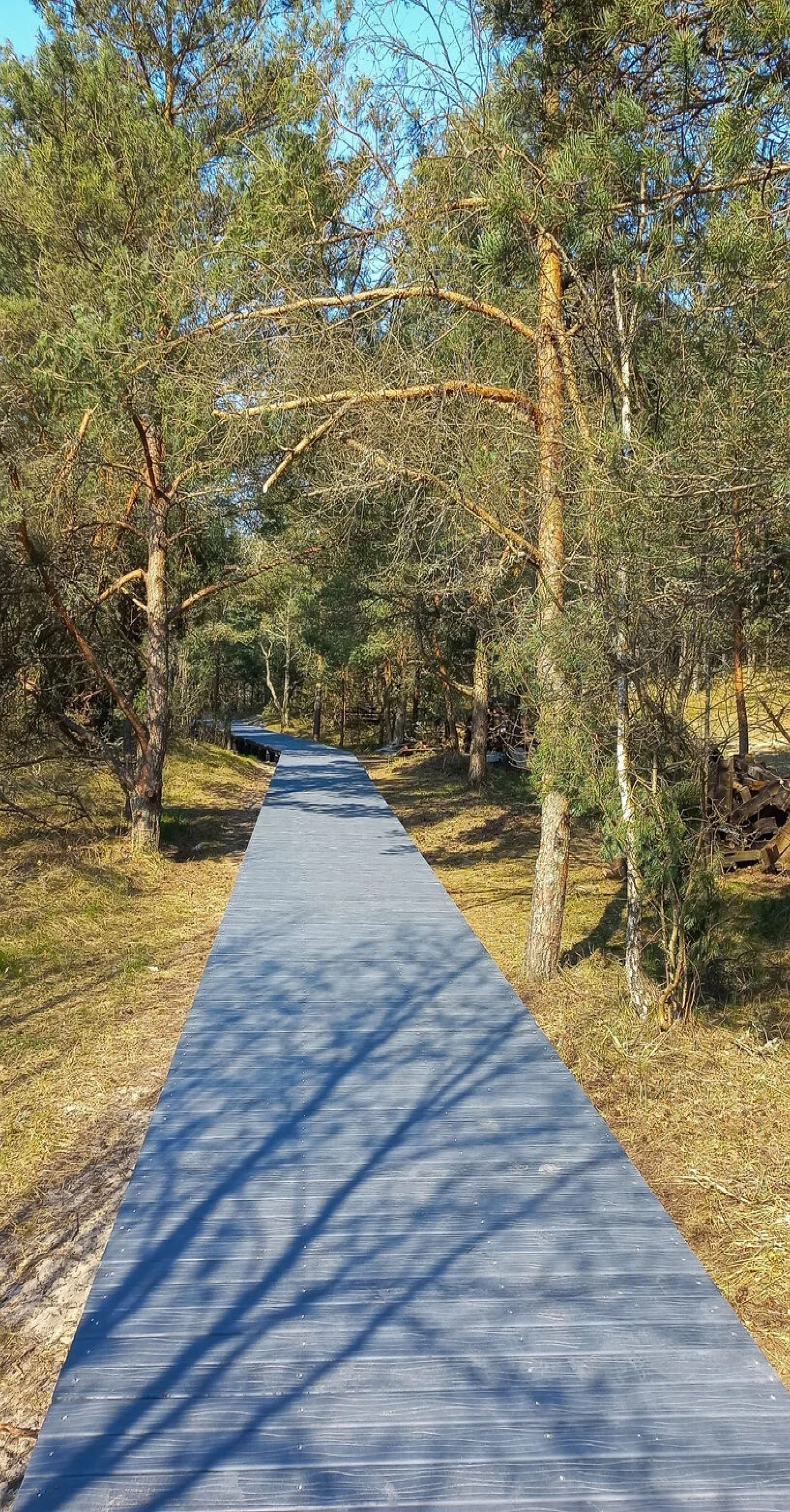 Не боится воды, огня и мороза: Российский завод предлагает инновационные стройматериалы для любых задач фото: Не боится воды, огня и мороза: Российский завод предлагает инновационные стройматериалы для любых задач