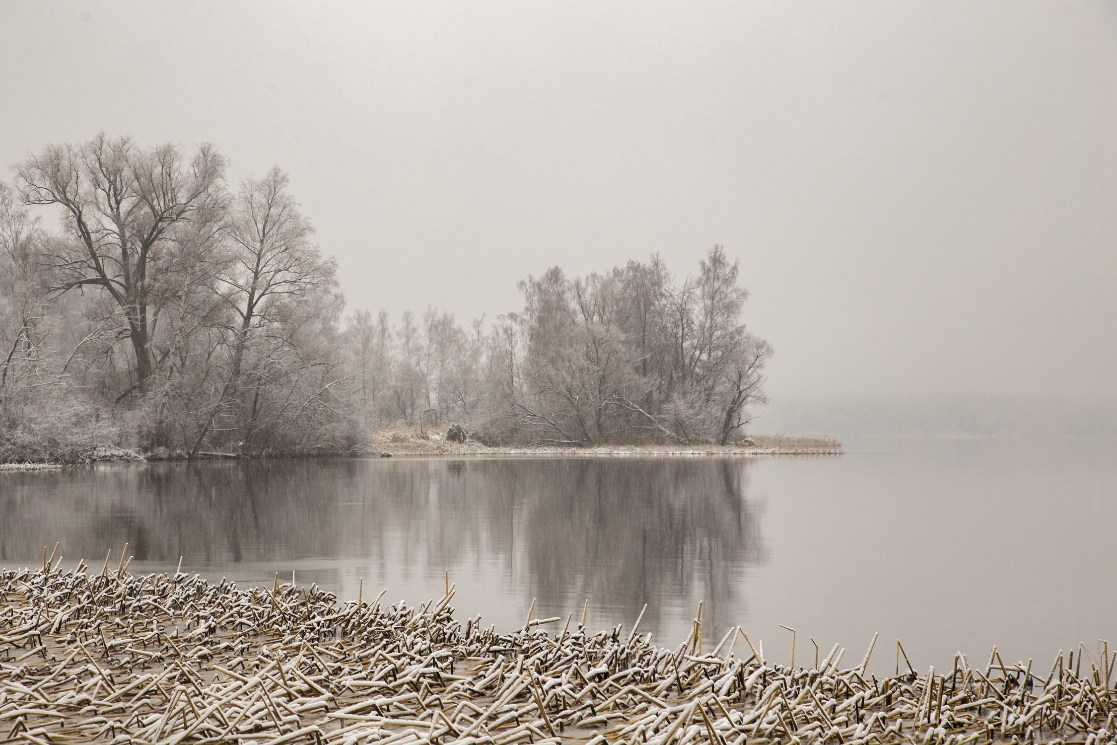фото: История 2000 семей из Подмосковья , Пушкинского района: о том, как границы на бумаге поставили под вопрос реальные жизни