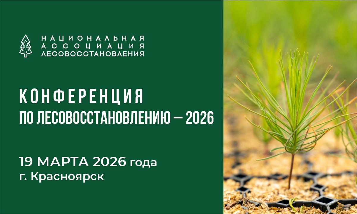 фото: 19 марта в Красноярске пройдет «Конференция по лесовосстановлению – 2026»