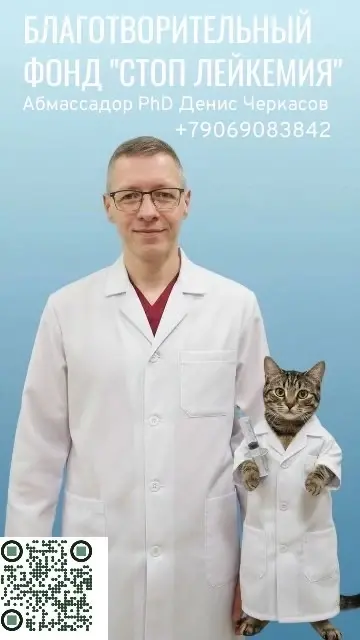 Благотворительный фонд стоп лейкемия кошек. Лейкемия не приговор ! фото: Благотворительный фонд стоп лейкемия кошек. Лейкемия не приговор !