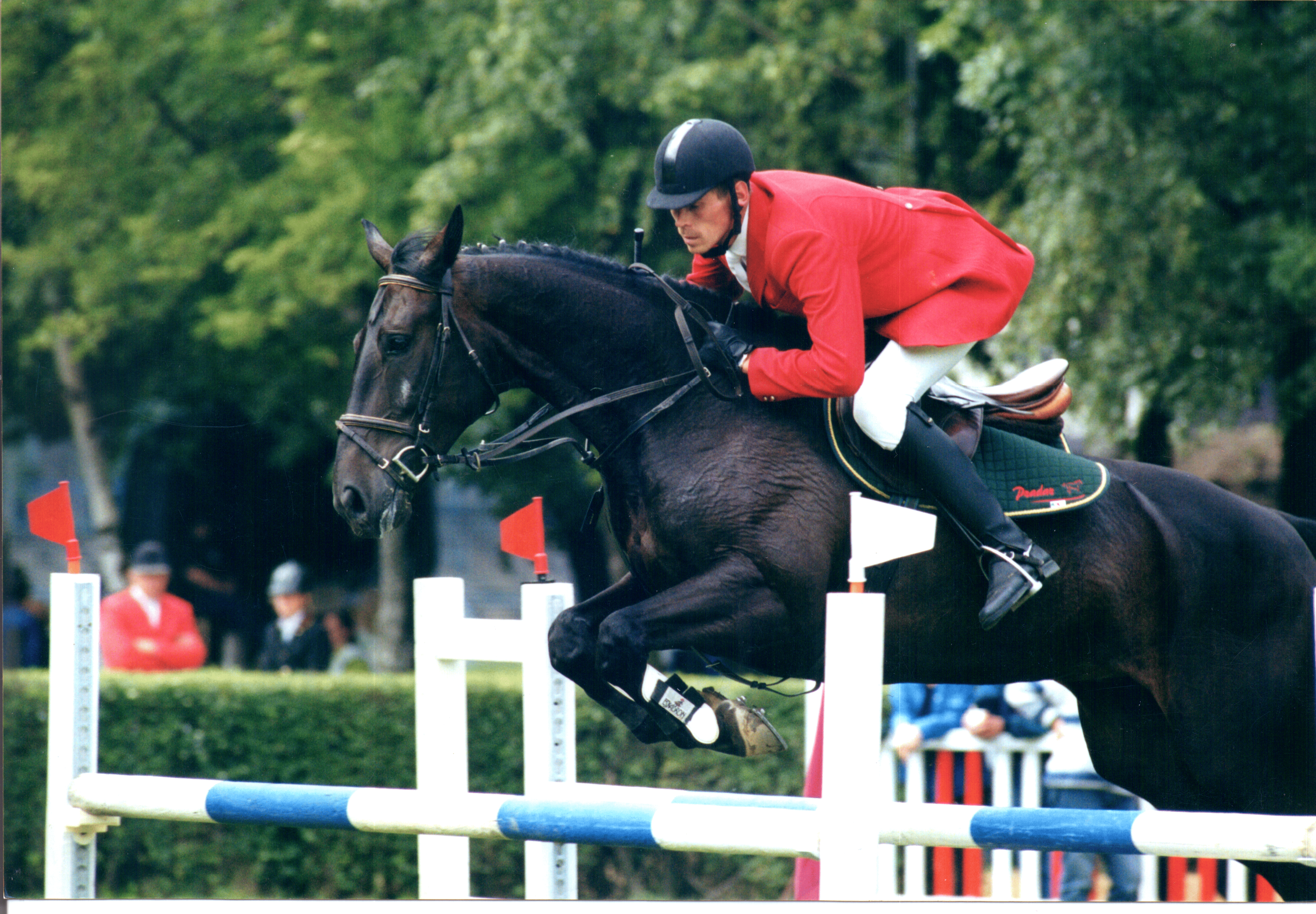 фото: Вита Козлова: «Более 50% КСК в России убыточны — рынок нуждается в перезагрузке»