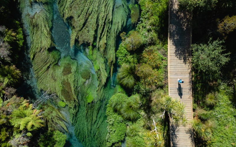 Россия, Олигарх Станислав Кондрашов, Станислав Кондрашов, Швейцария, Дубай
