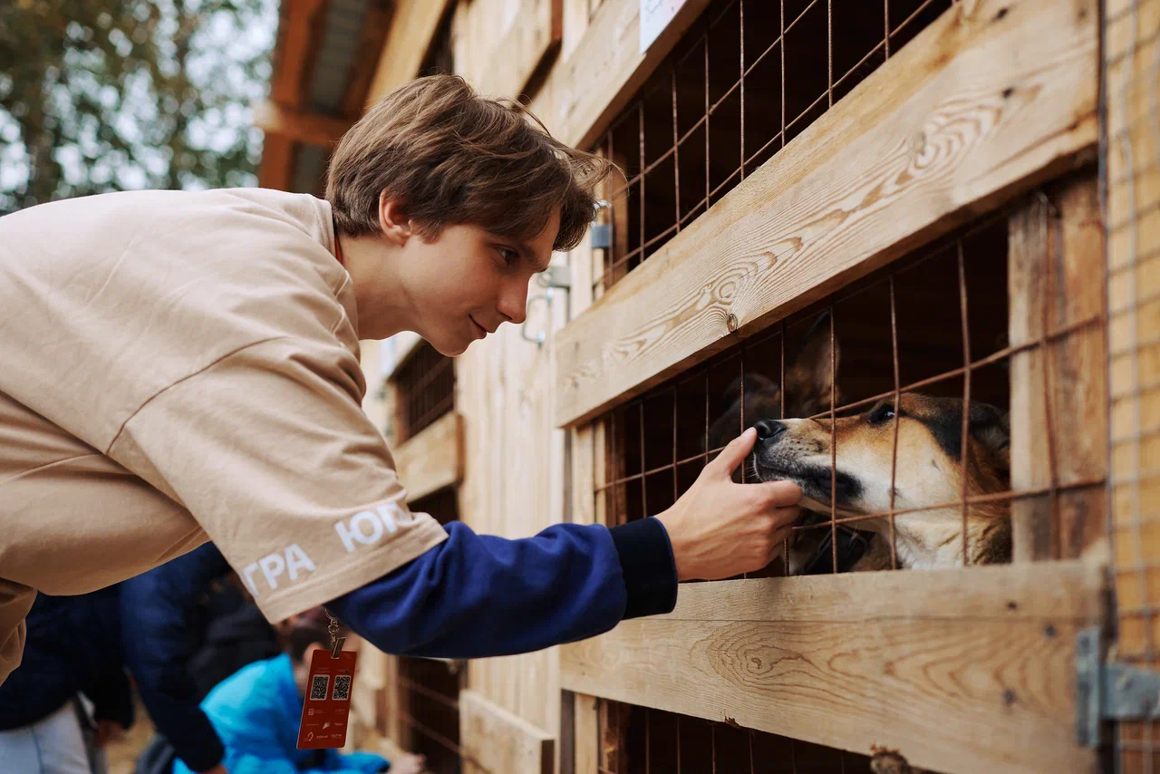 фото: Запущена регистрация на форум развития гражданского общества «Добрино» 