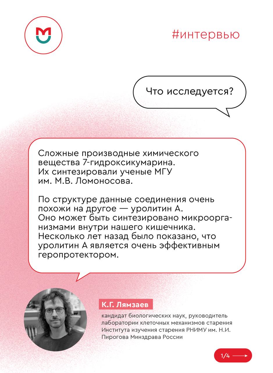 фото: Если старение неизбежно, можно ли остановить возрастзависимые изменения?