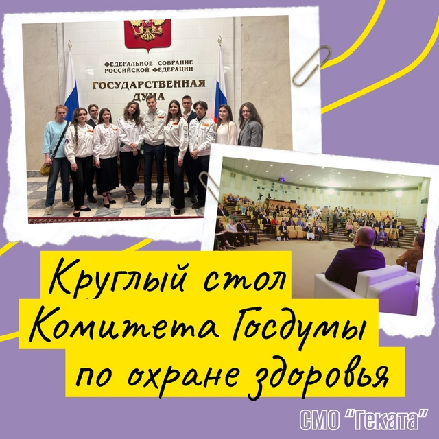 фото: СМО Пироговского Университета стали участниками круглого стола в Госдуме