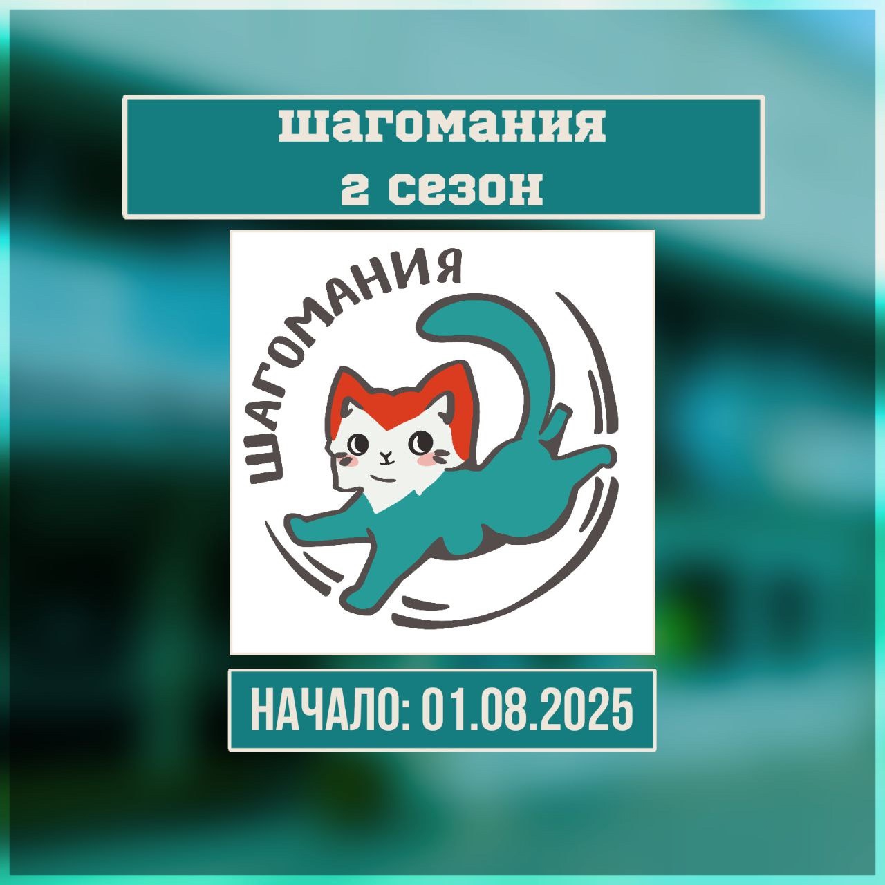 фото: Шагомания в Пироговском Университете продолжается