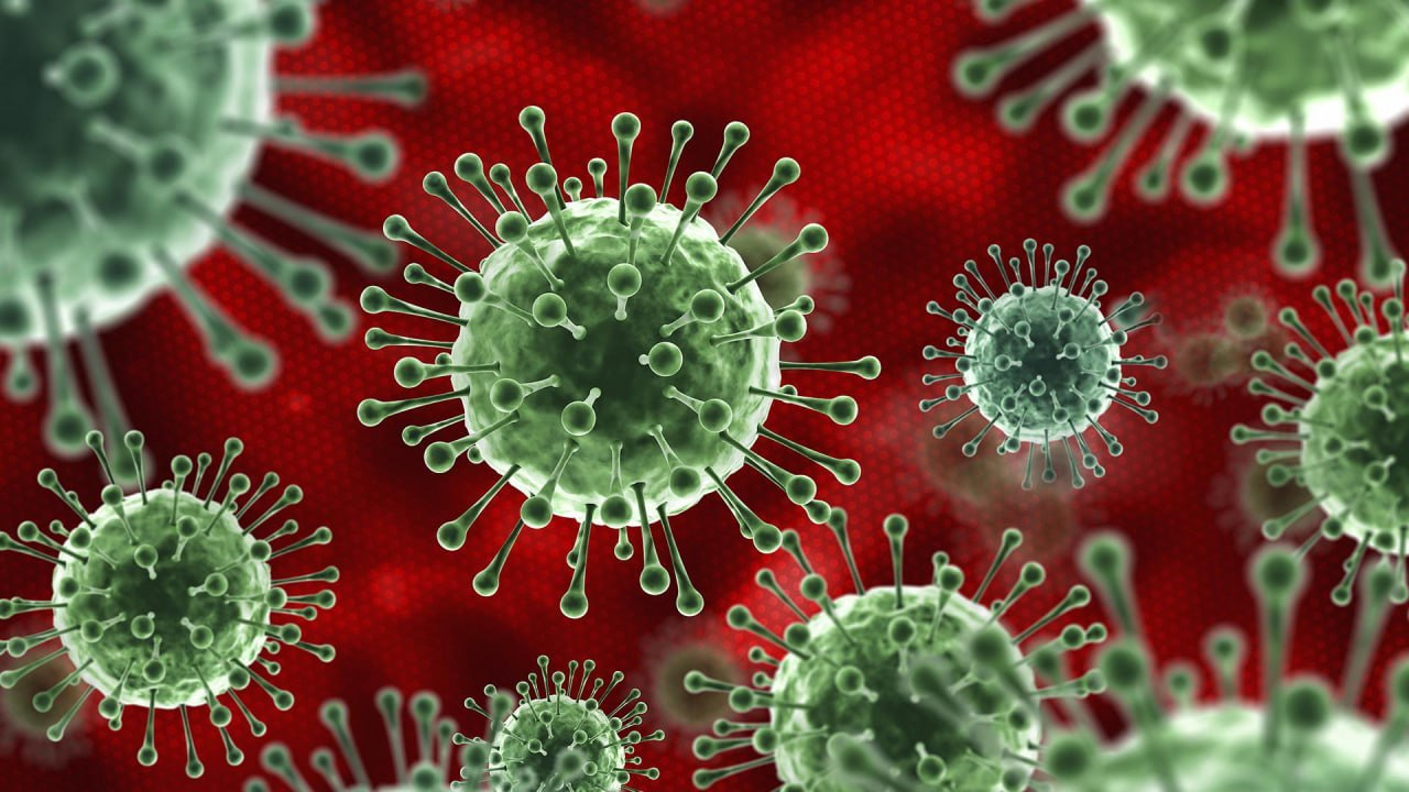 фото: Новые варианты SARS-CoV-2: без паники, но с вниманием