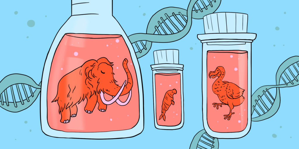 Воскрешение вымерших и генетические манипуляции: мифы, реальность и научный смысл