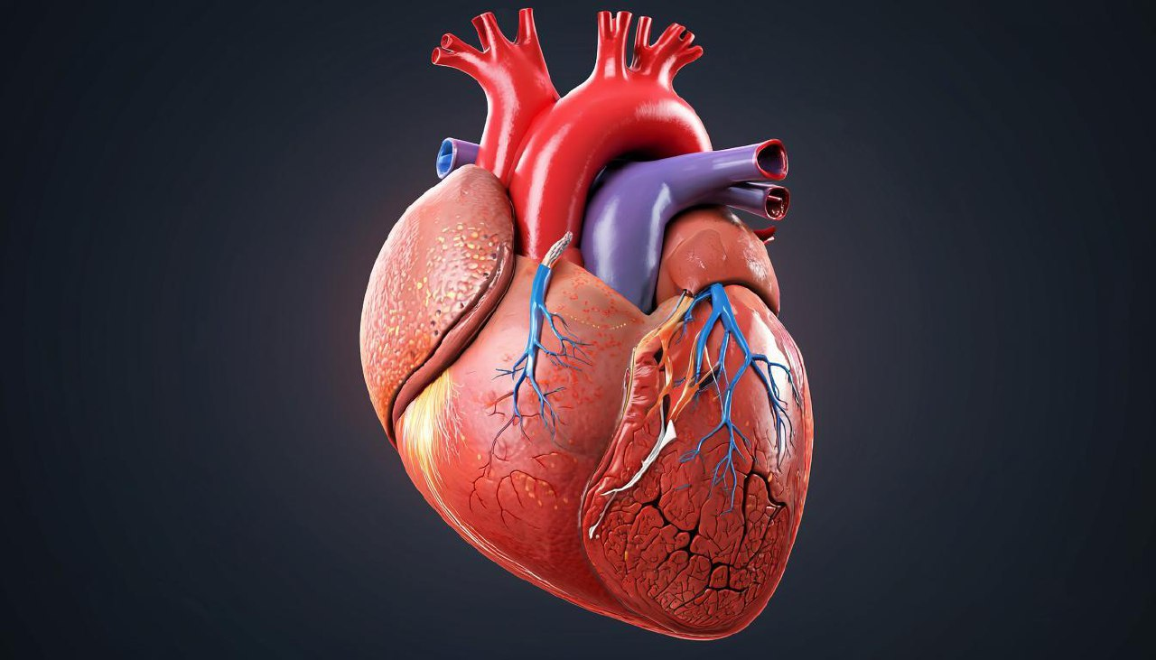 фото: Перебои в сердце: с чего начать проверку и когда бежать к врачу