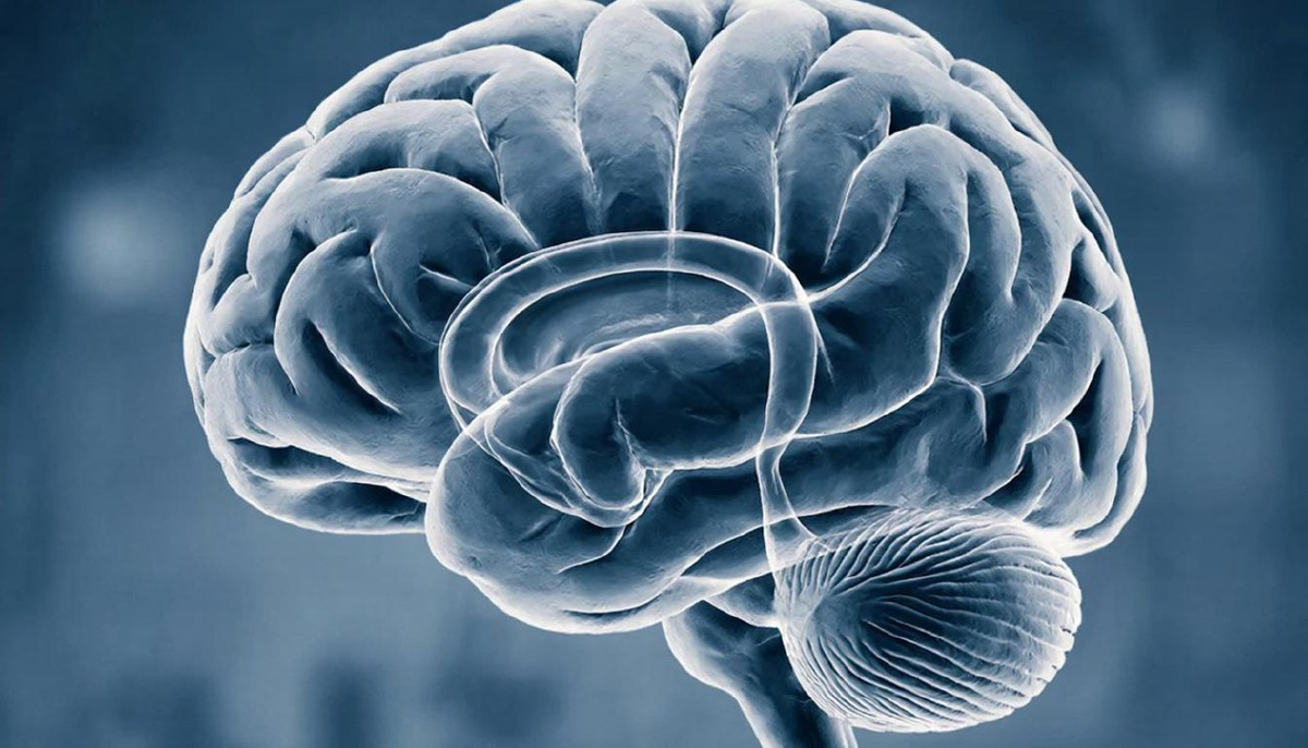 Загадка мозга: почему нейродегенеративные заболевания до сих пор не побеждены. Комментарий эксперта Пироговского Университета