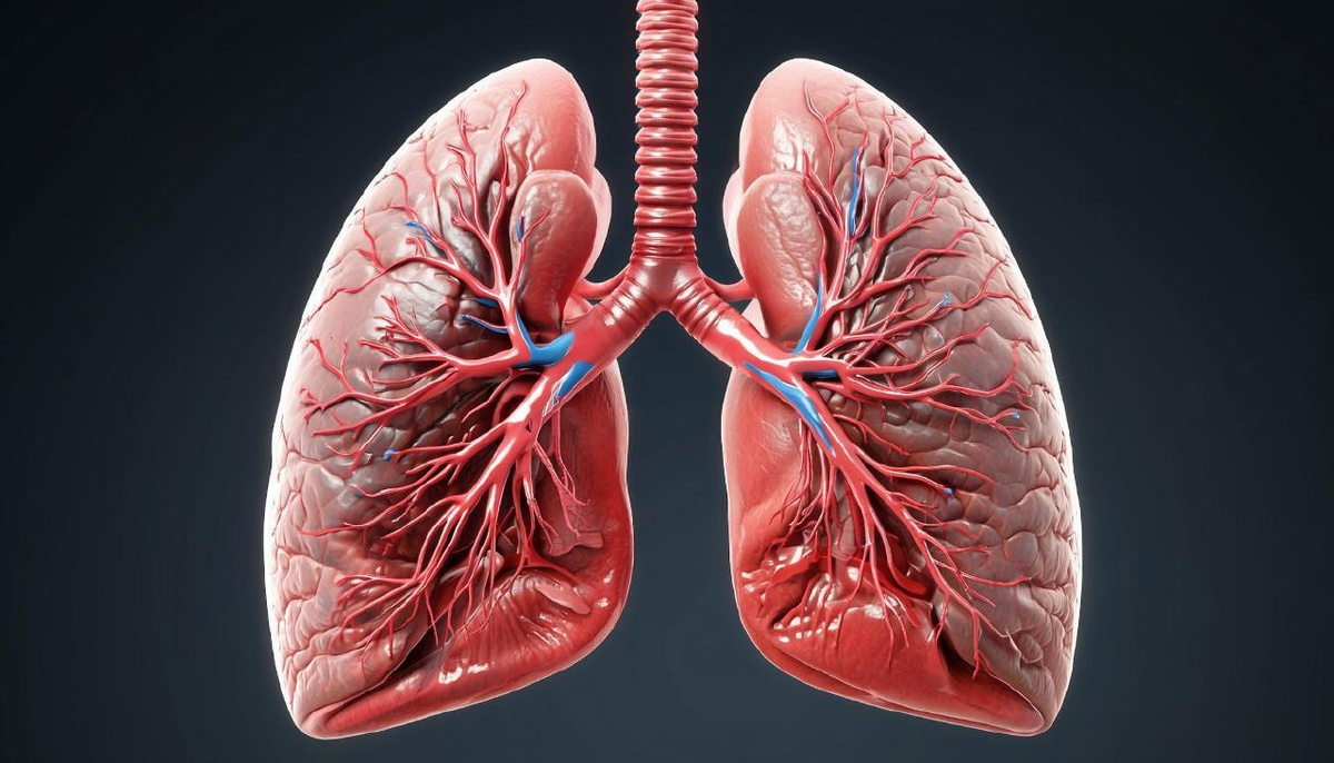 фото: Эксперт Пироговского Университета рассказал, что нужно знать о пневмонии: от причин до профилактики