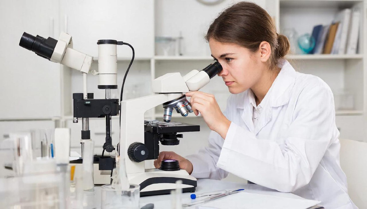 «Коктейль Яманаки» и будущее медицины: эксперт Пироговского Университета о реальных возможностях стволовых клеток