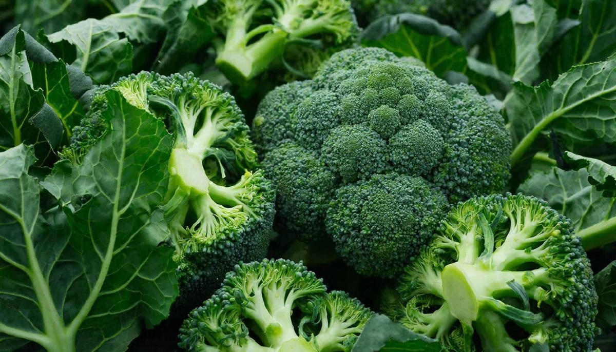 фото: Секрет сульфорафана: врач Пироговского Университета объяснил, почему брокколи — чемпион по борьбе с воспалением и раком
